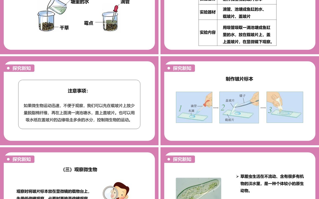 教科版六年级科学下册用显微镜观察身边的生命世界课件PPT模板