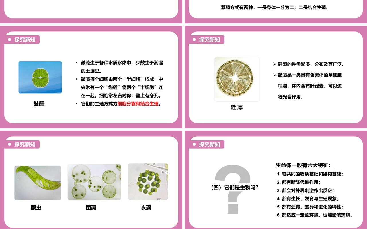 教科版六年级科学下册用显微镜观察身边的生命世界课件PPT模板
