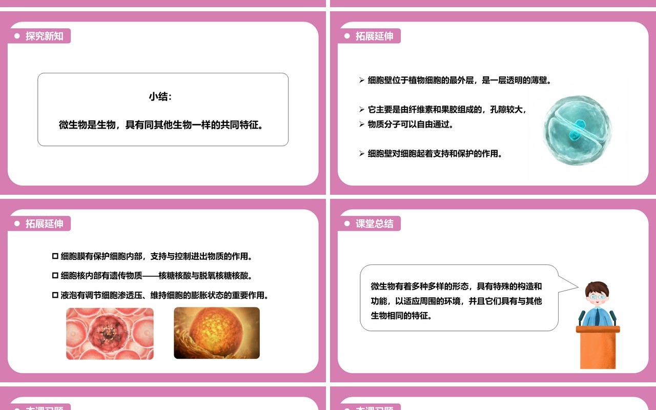 教科版六年级科学下册用显微镜观察身边的生命世界课件PPT模板