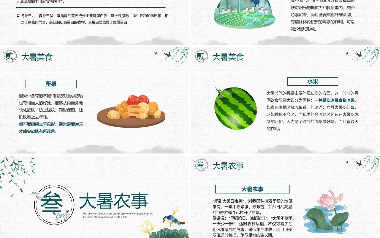 绿色中国风二十四节气大暑介绍PPT模板