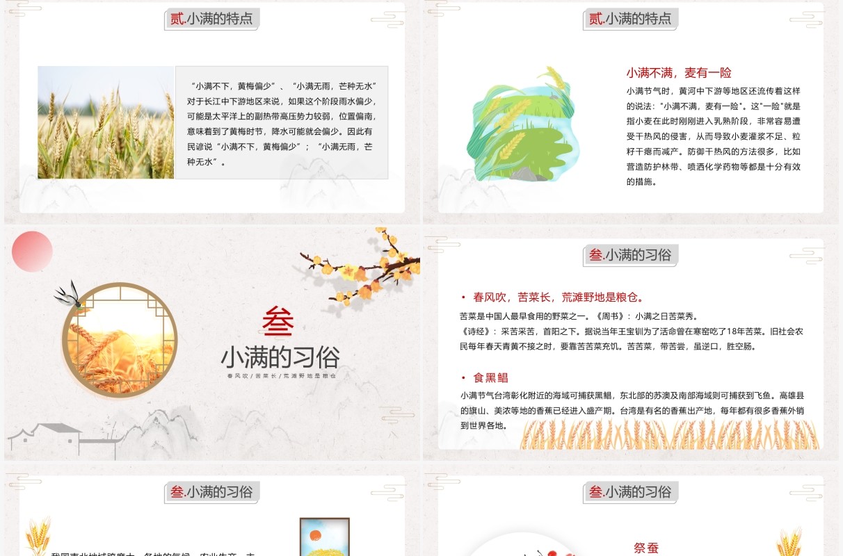 古风二十四节气小满宣传介绍动态PPT模板