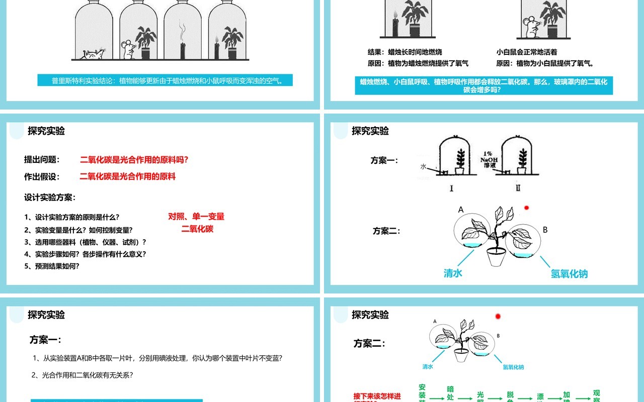 人教版七年级生物上册光合作用吸收二氧化碳释放氧气课件PPT模板