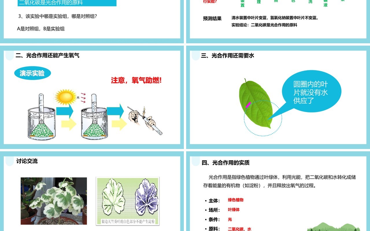 人教版七年级生物上册光合作用吸收二氧化碳释放氧气课件PPT模板