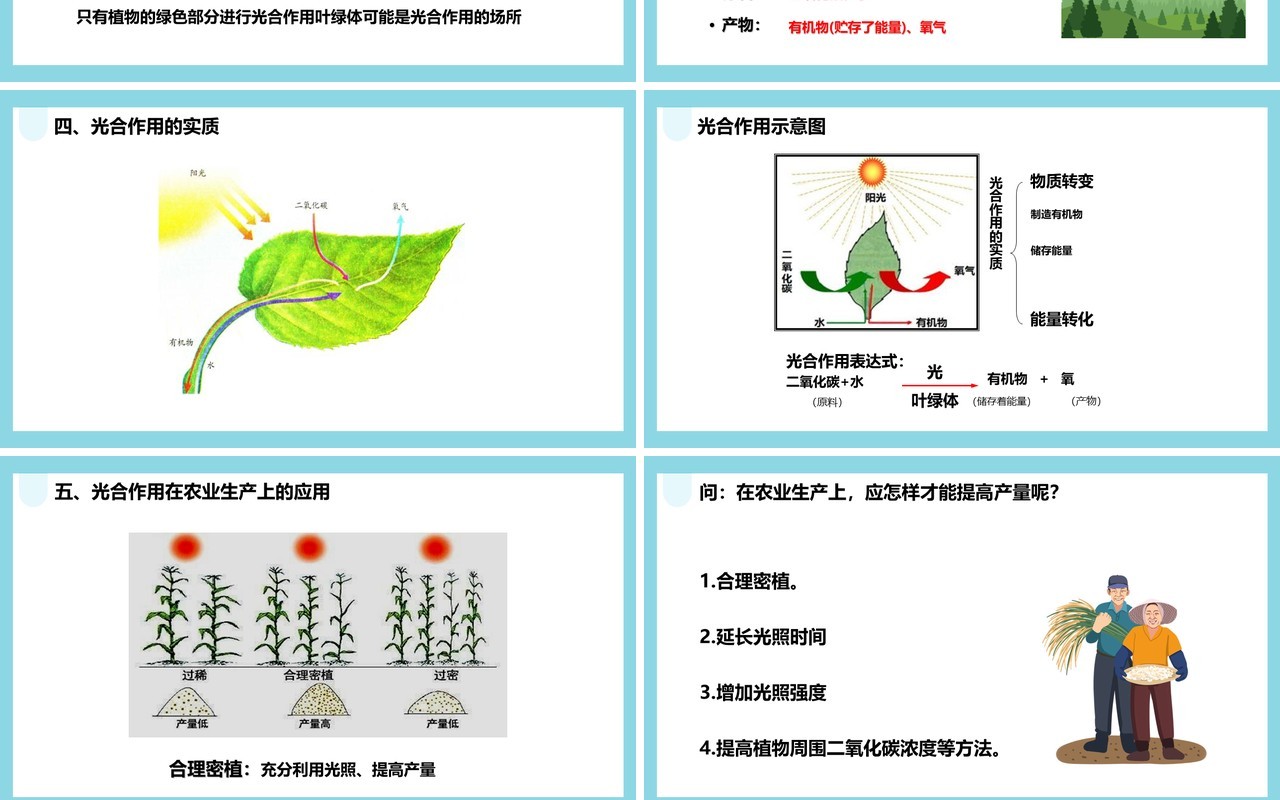 人教版七年级生物上册光合作用吸收二氧化碳释放氧气课件PPT模板