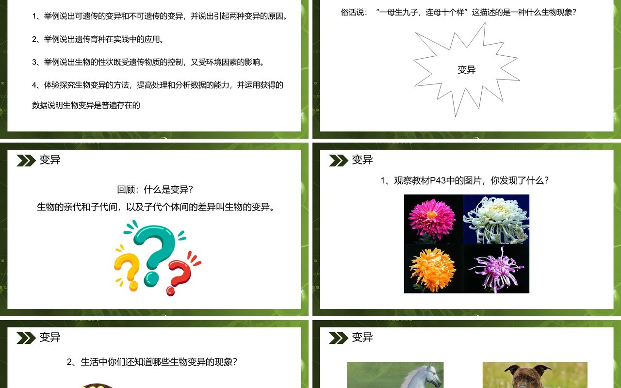 部编版八年级生物下册生物的变异课件PPT模板