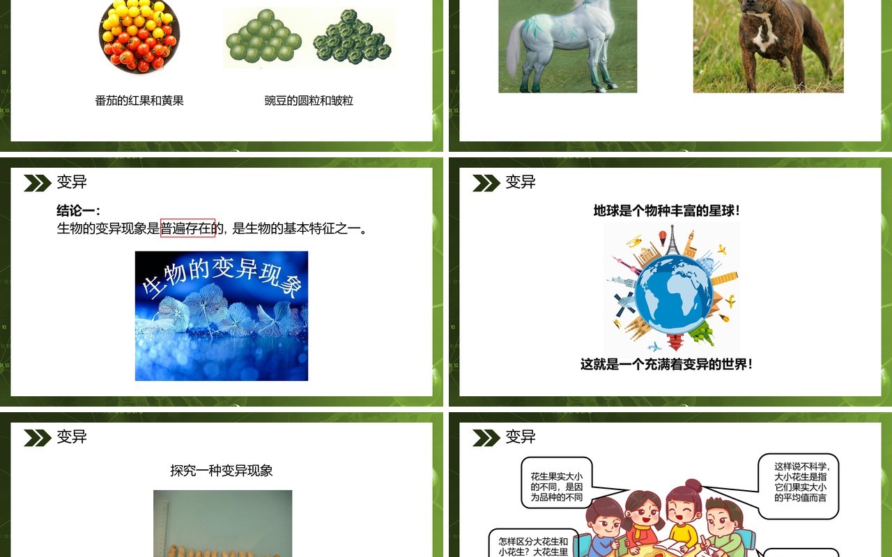 部编版八年级生物下册生物的变异课件PPT模板