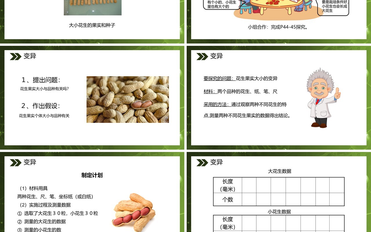 部编版八年级生物下册生物的变异课件PPT模板