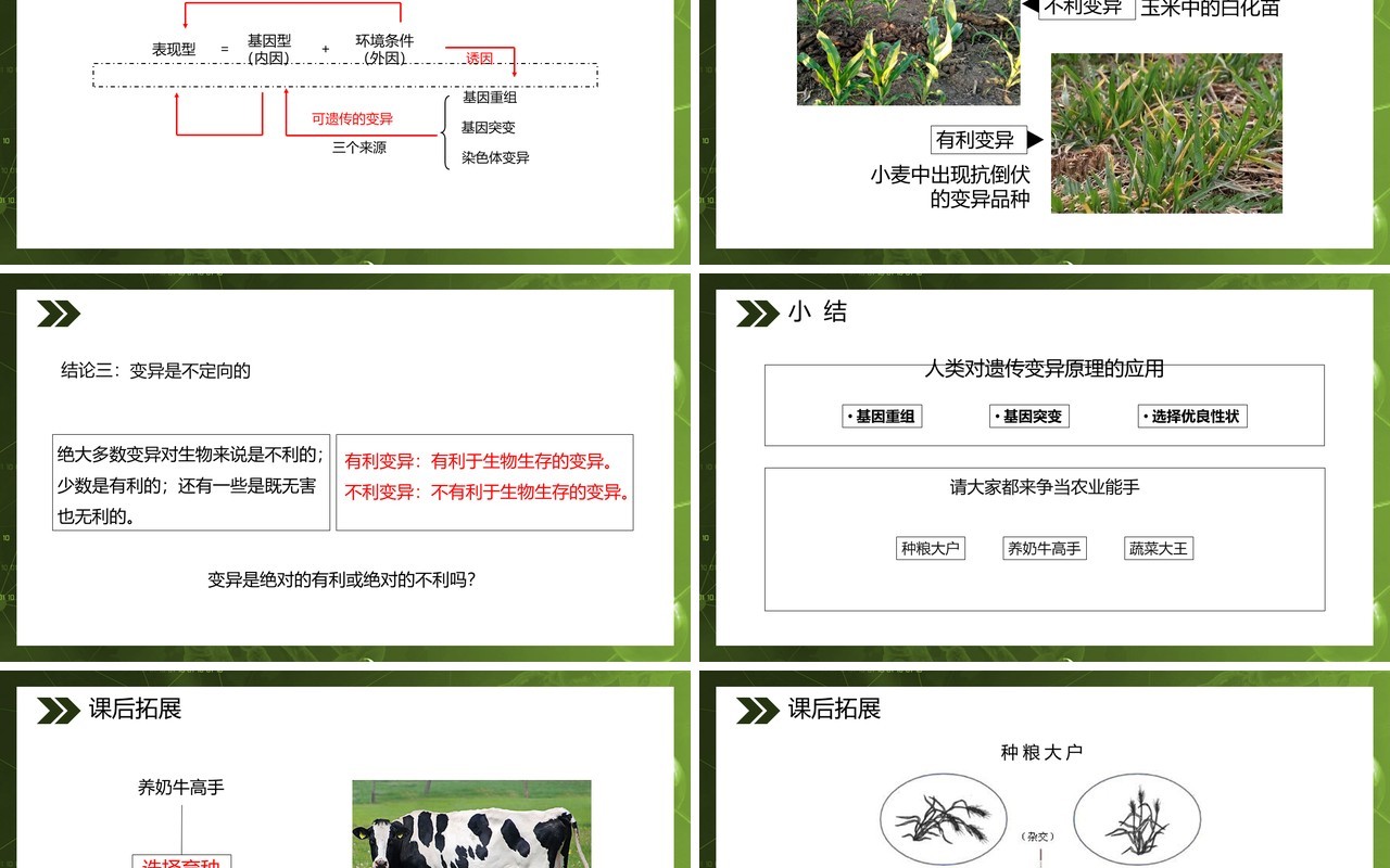 部编版八年级生物下册生物的变异课件PPT模板
