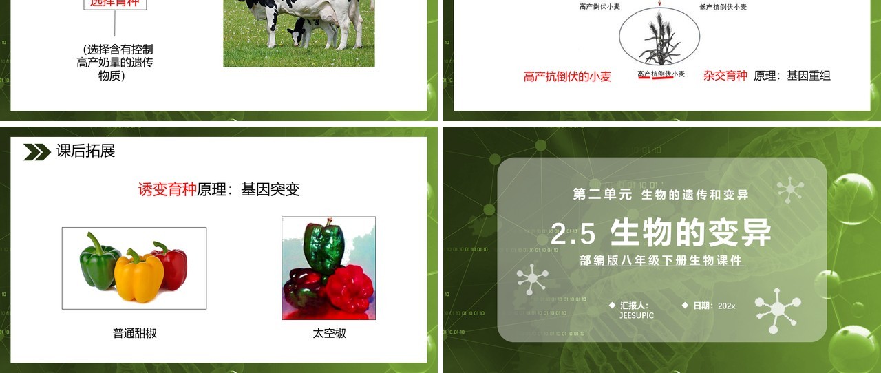 部编版八年级生物下册生物的变异课件PPT模板