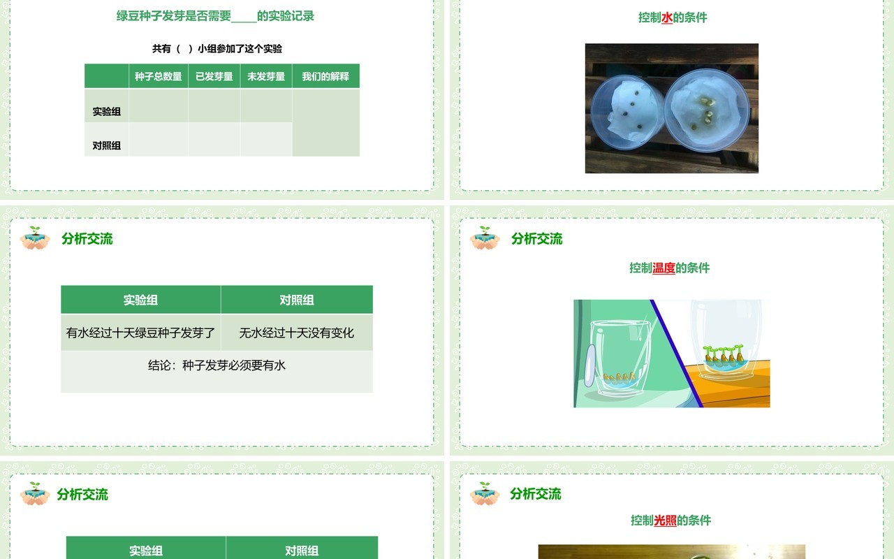 教科版五年级科学上册种子发芽实验PPT模板