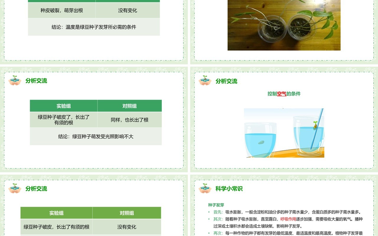 教科版五年级科学上册种子发芽实验PPT模板