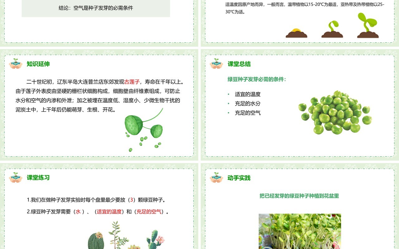 教科版五年级科学上册种子发芽实验PPT模板