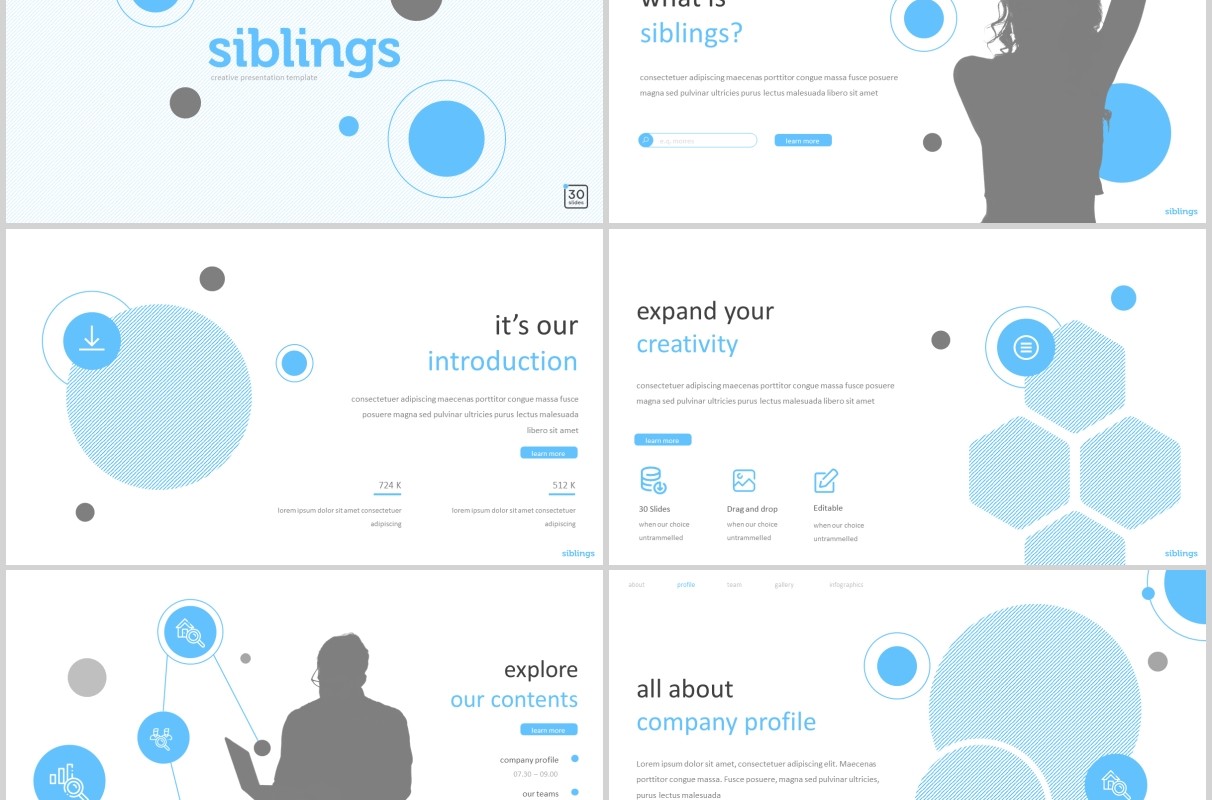 蓝色商务公司简介个人介绍PPT模板版式设计siblings powerpoint template