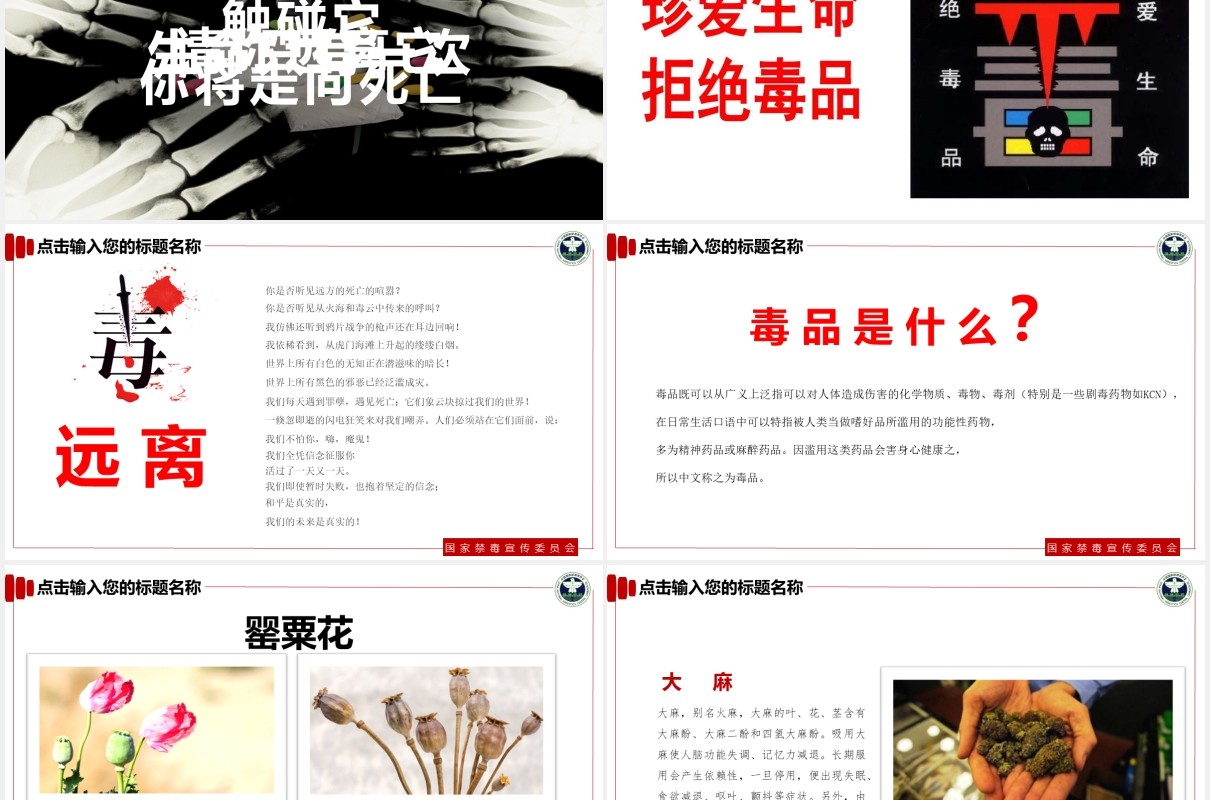 简约青少年预防毒品教育宣传活动PPT模板