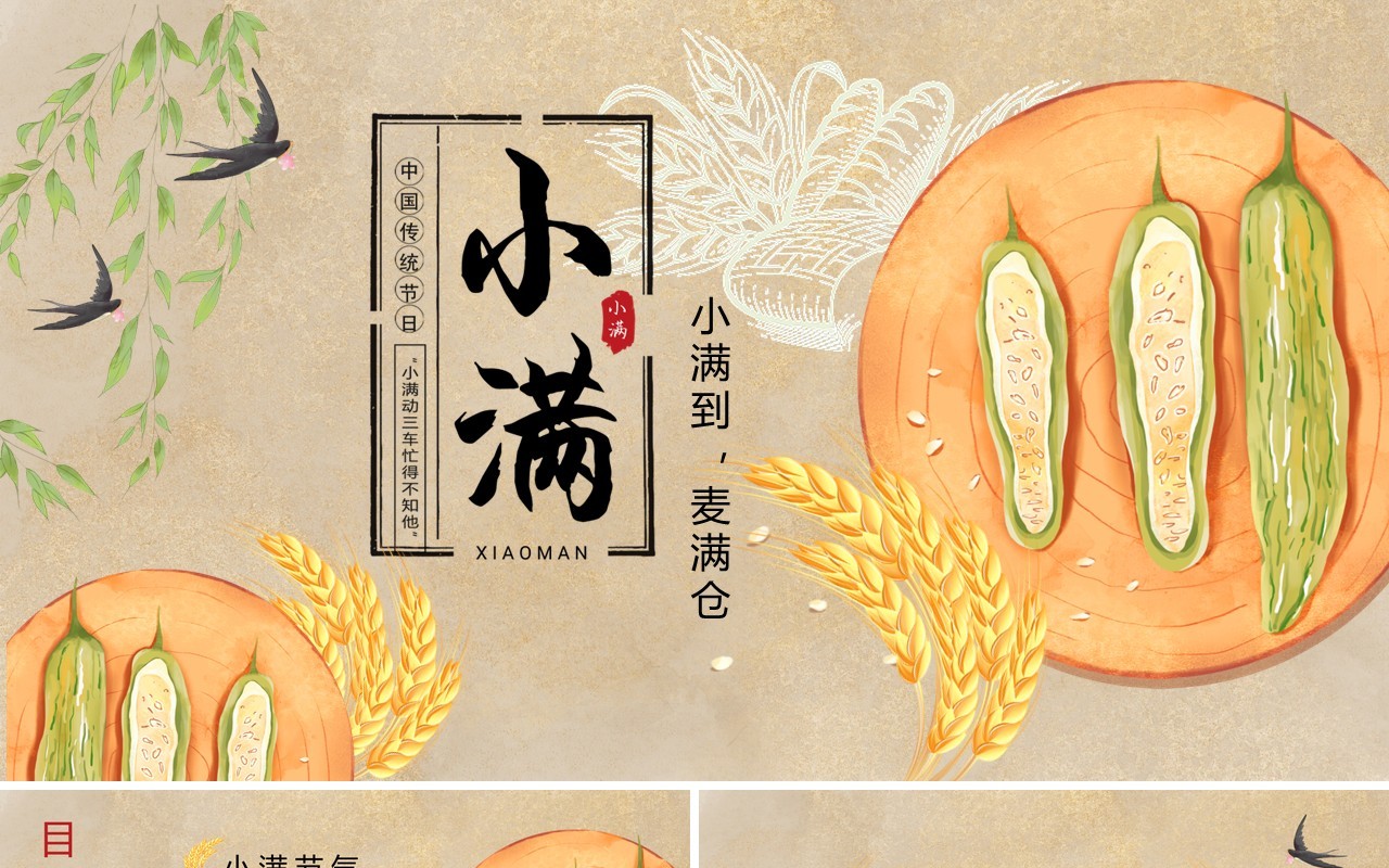中国风卡通手绘传统二十四节气小满PPT模板