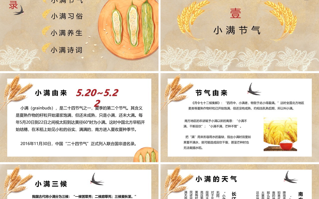 中国风卡通手绘传统二十四节气小满PPT模板