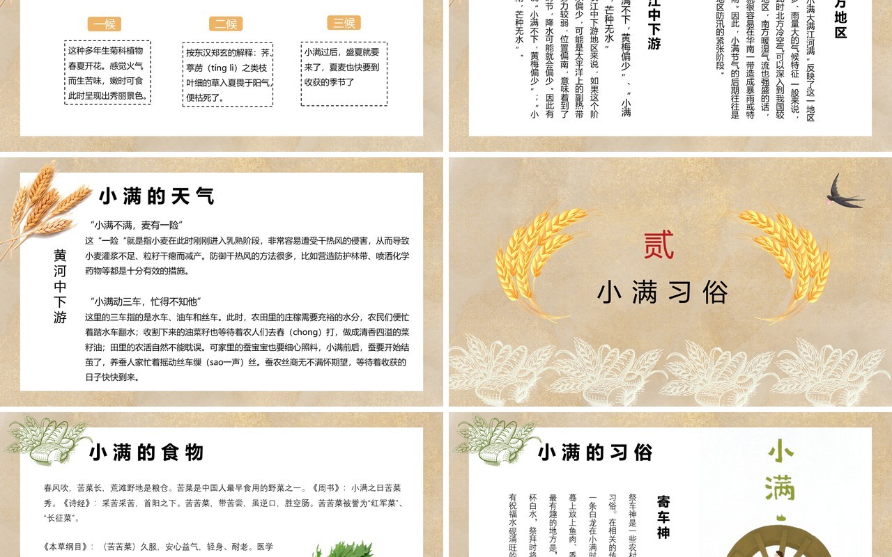 中国风卡通手绘传统二十四节气小满PPT模板