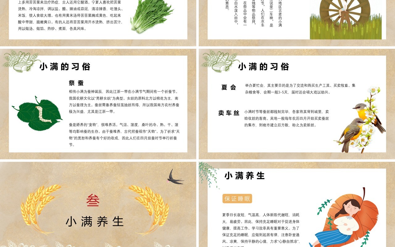中国风卡通手绘传统二十四节气小满PPT模板