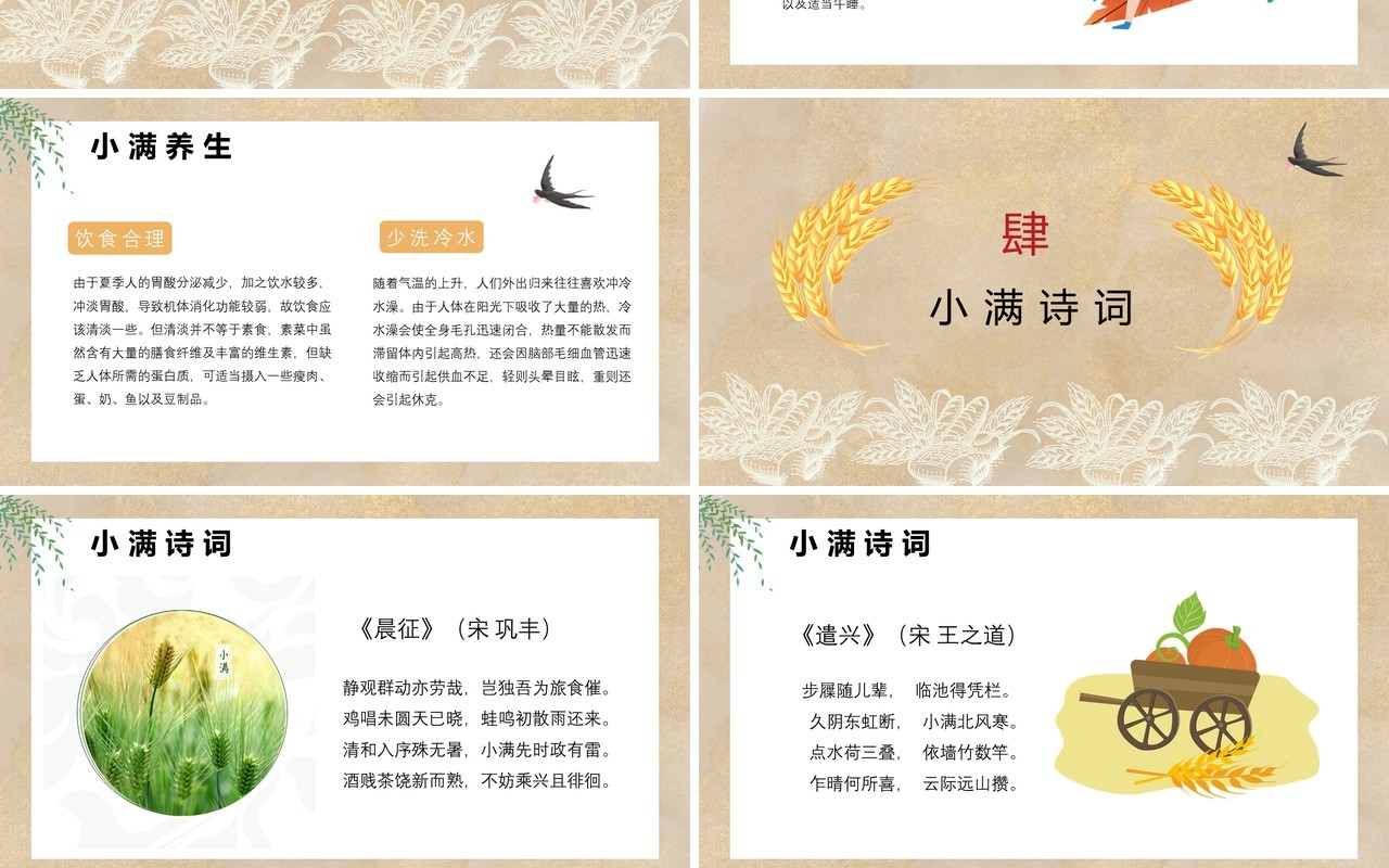 中国风卡通手绘传统二十四节气小满PPT模板