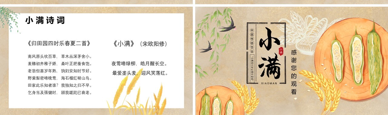 中国风卡通手绘传统二十四节气小满PPT模板
