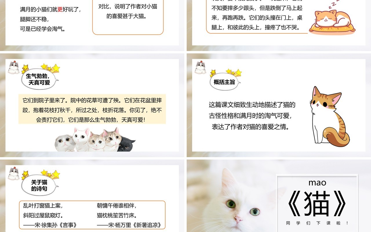 部编版七年级语文上册猫课件PPT模板