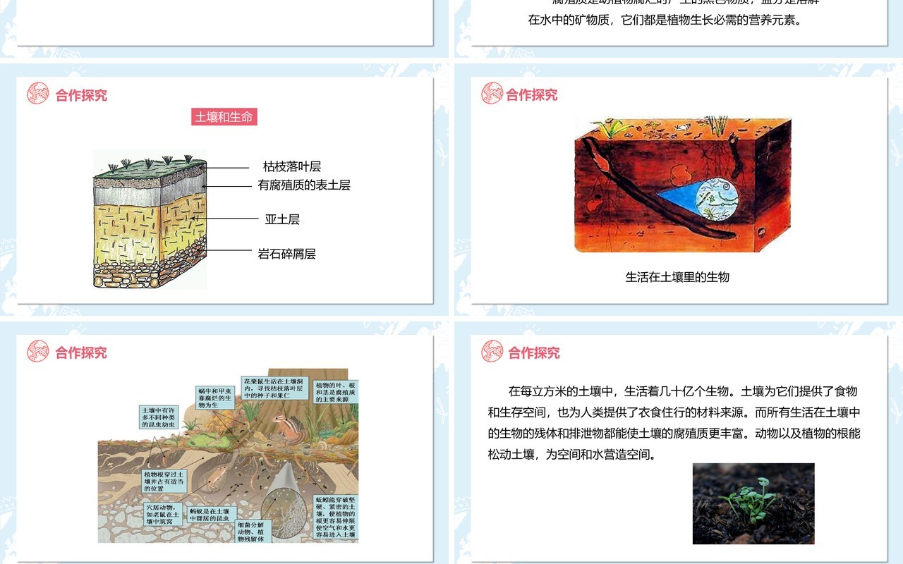 教科版五年级科学上册土壤中有什么PPT模板
