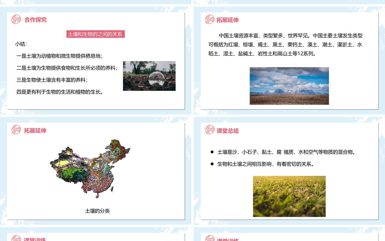 教科版五年级科学上册土壤中有什么PPT模板