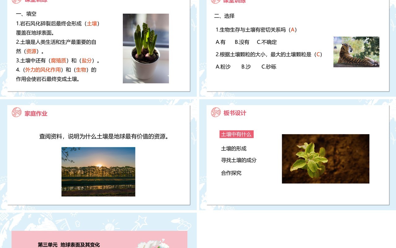 教科版五年级科学上册土壤中有什么PPT模板
