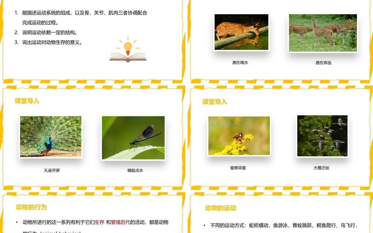 部编版八年级生物上册动物的运动PPT模板