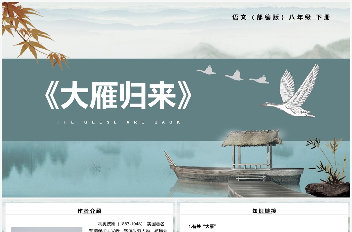 部编版八年级语文下册大雁归来课件PPT模板