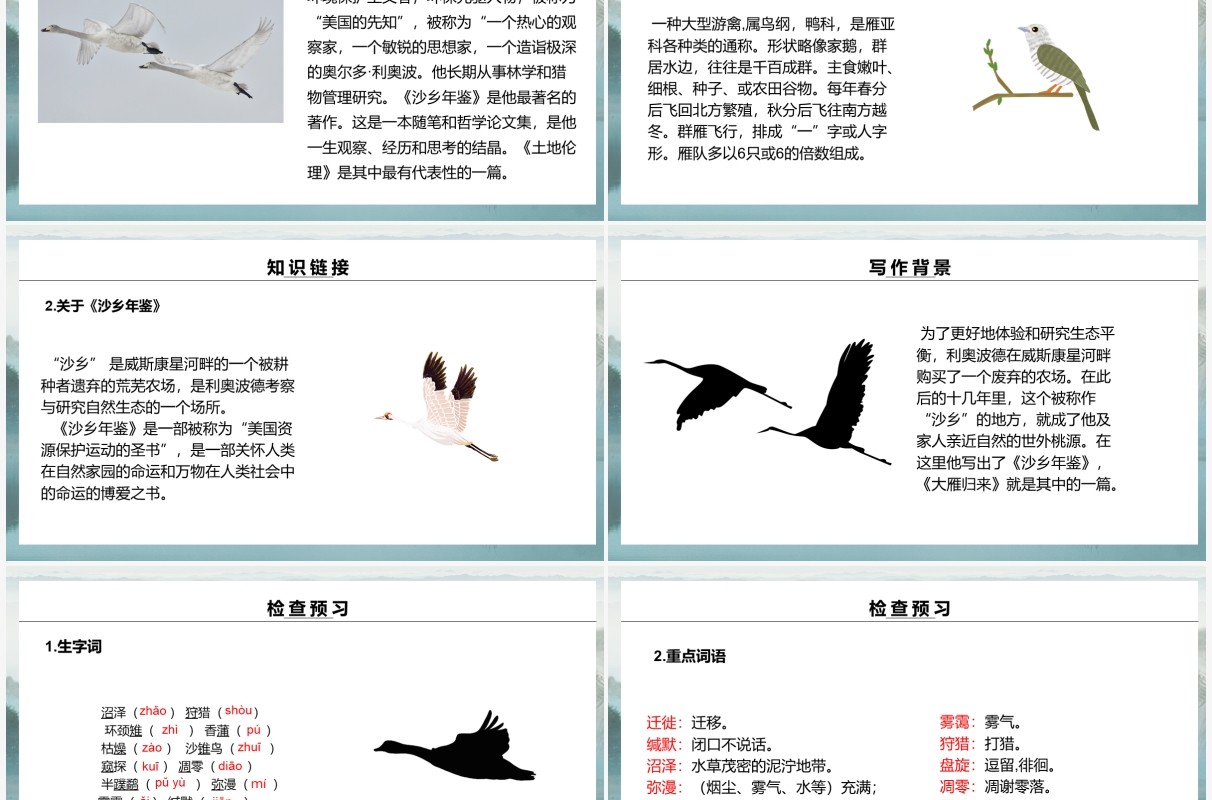 部编版八年级语文下册大雁归来课件PPT模板