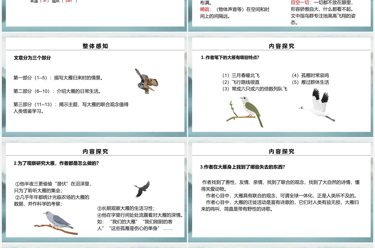 部编版八年级语文下册大雁归来课件PPT模板