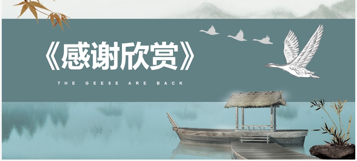 部编版八年级语文下册大雁归来课件PPT模板