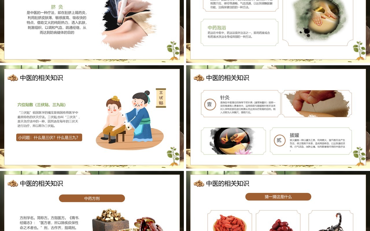 绿色中国风神奇的中医主题培训PPT模板