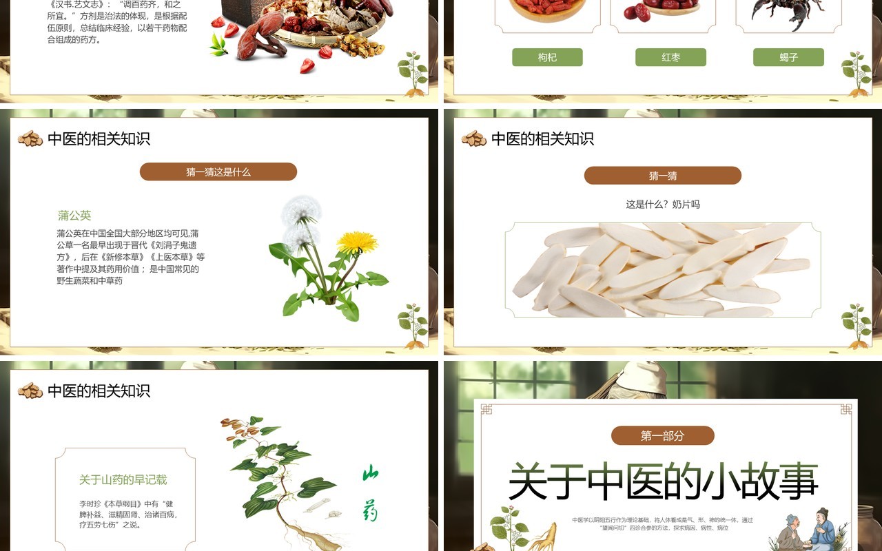 绿色中国风神奇的中医主题培训PPT模板