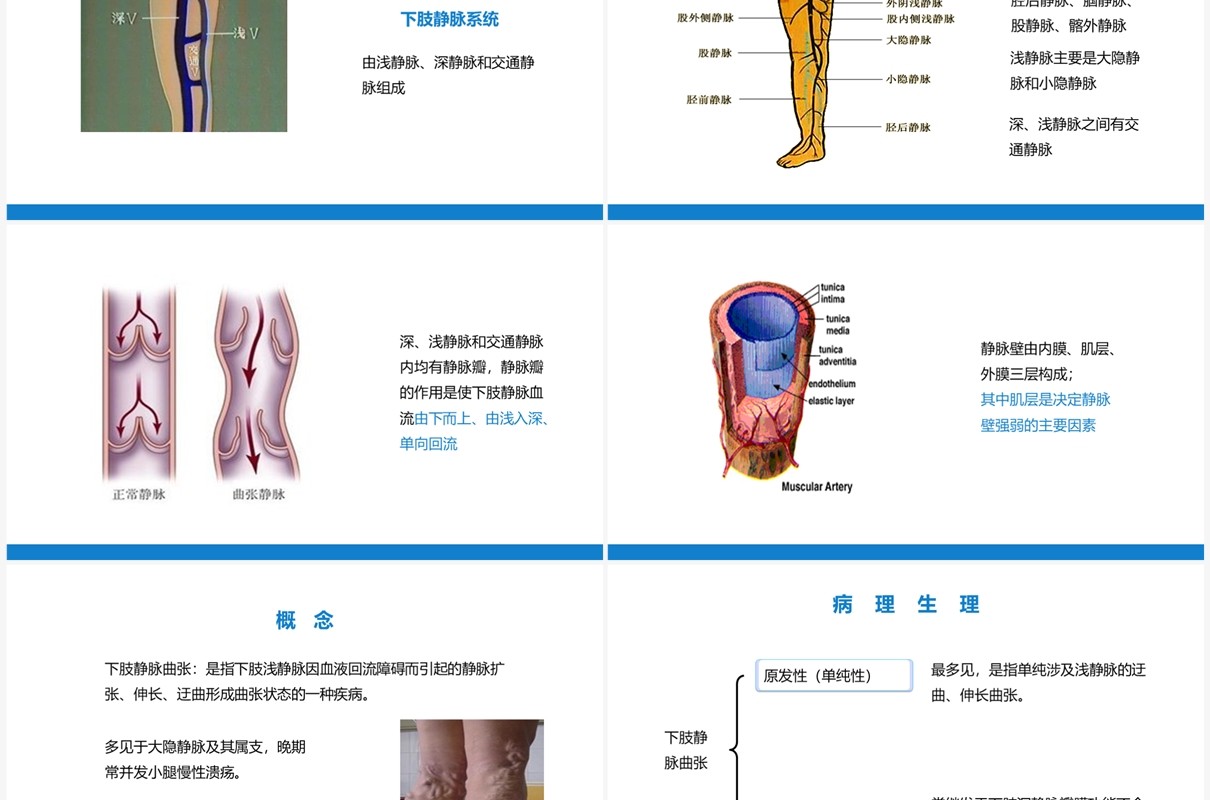 周围血管疾病病人的护理PPT模板