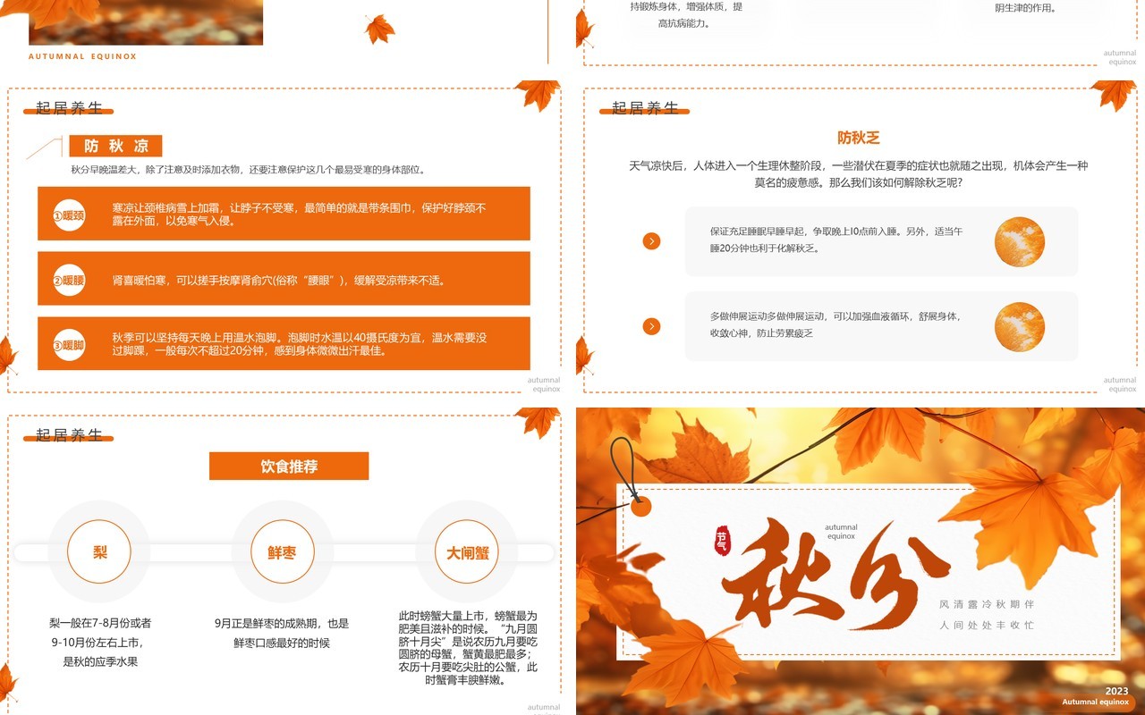 橙色清新风二十四节气之秋分PPT模板