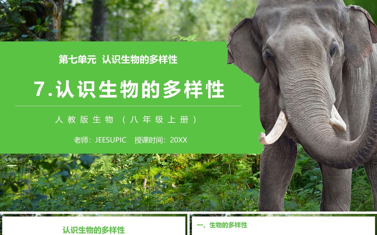 部编版八年级生物上册认识生物的多样性PPT模板