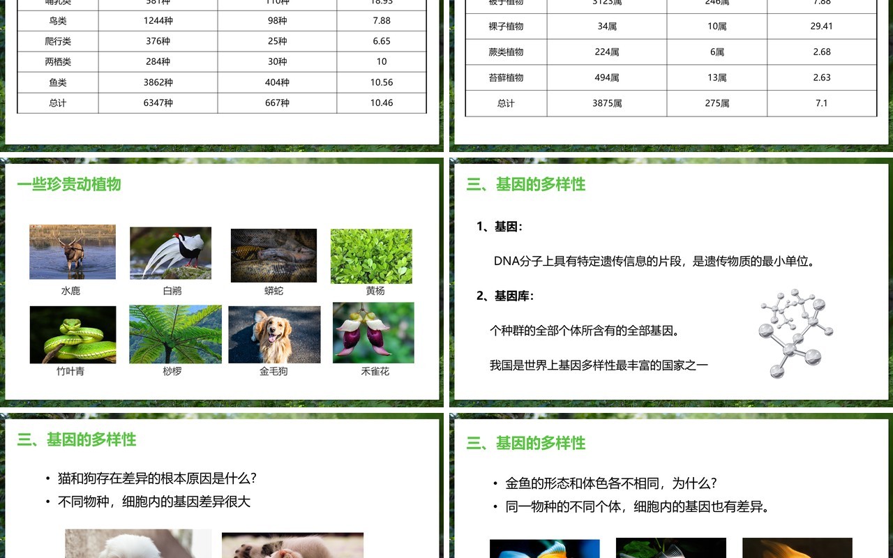 部编版八年级生物上册认识生物的多样性PPT模板