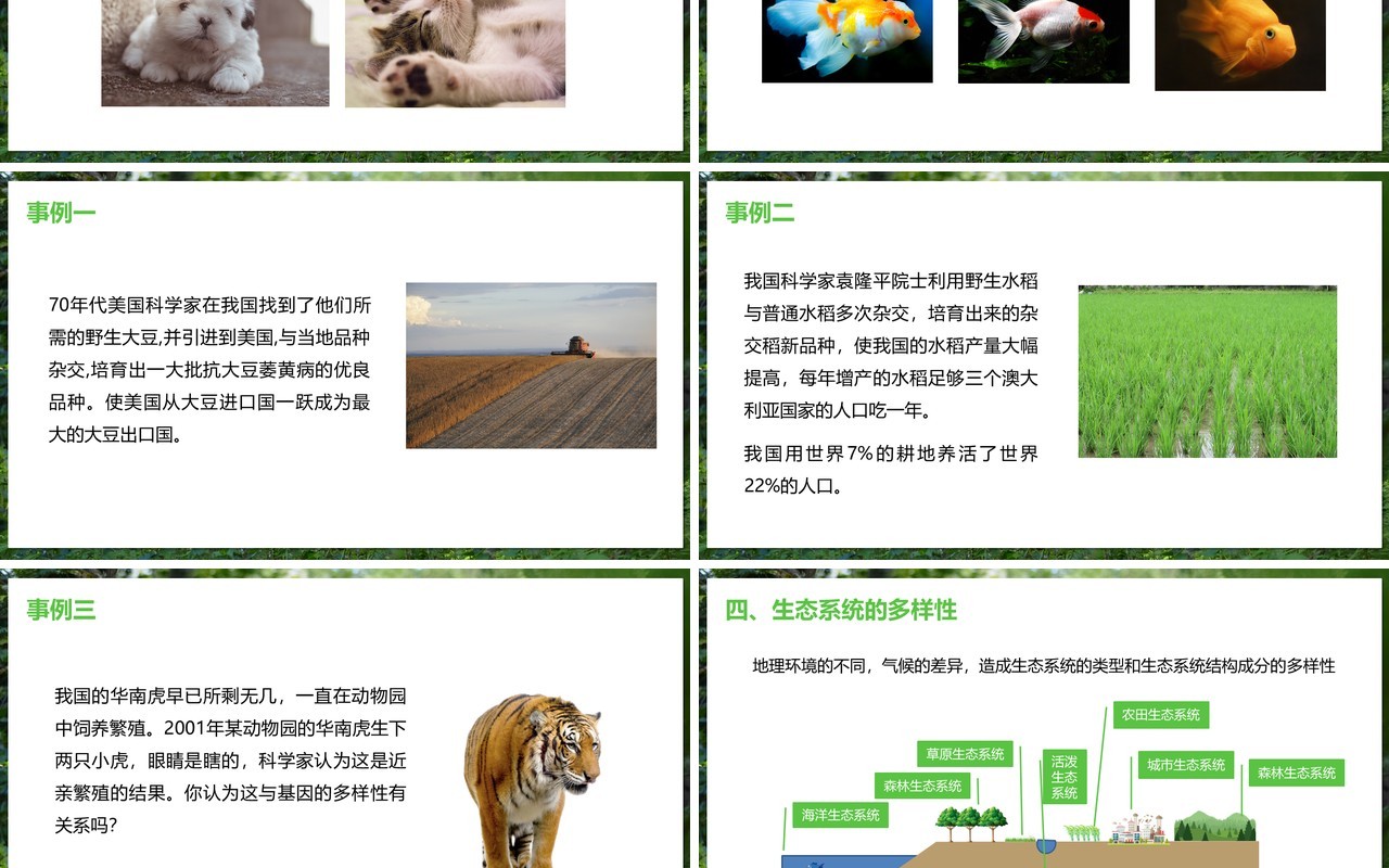 部编版八年级生物上册认识生物的多样性PPT模板