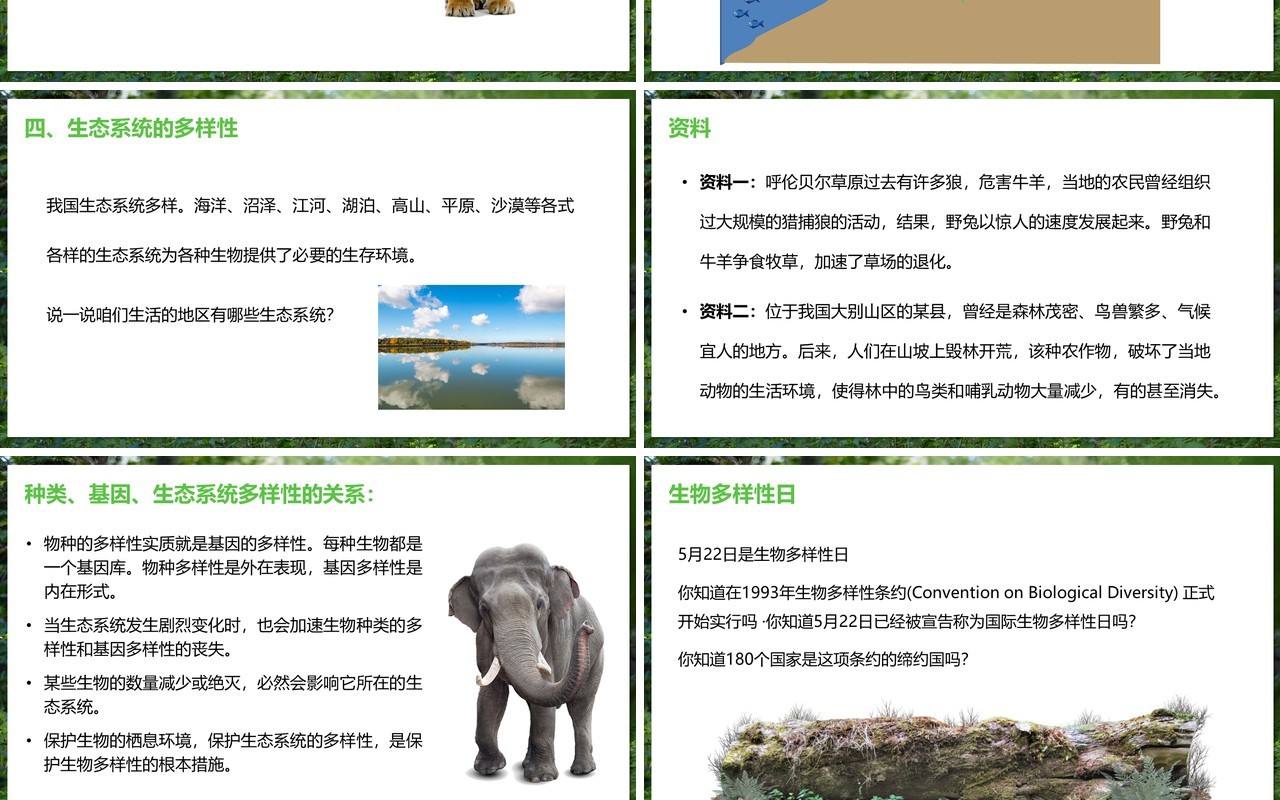 部编版八年级生物上册认识生物的多样性PPT模板