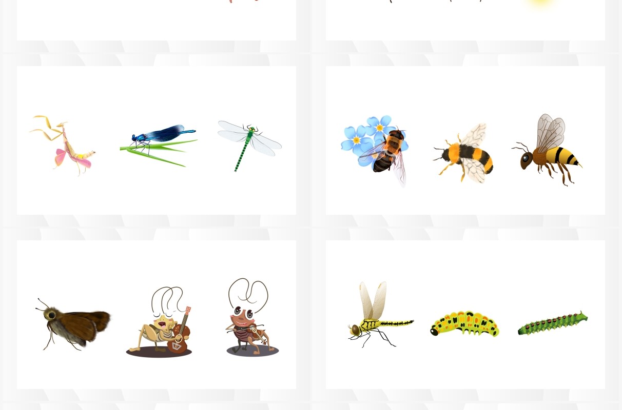 手绘昆虫元素PPT素材合集