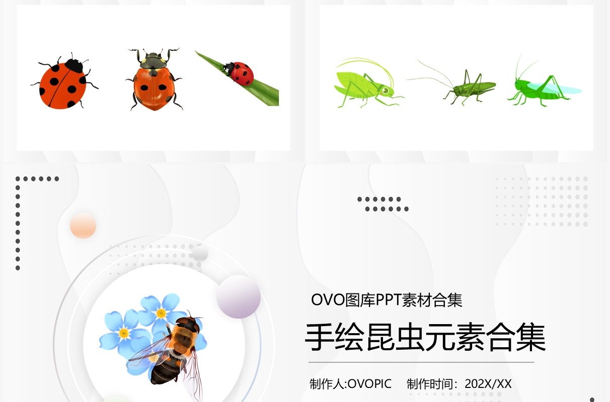 手绘昆虫元素PPT素材合集