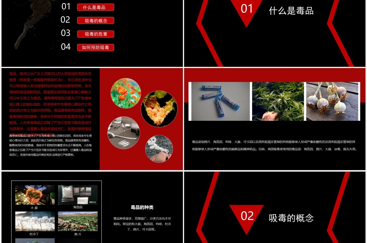 禁毒知识教育宣传课件PPT模板