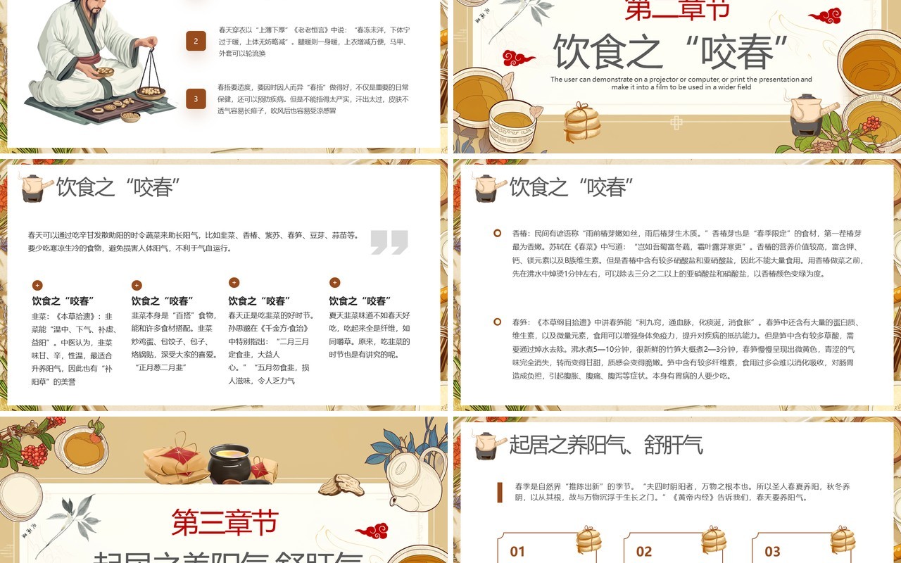 棕色中国风春季中医养生知识PPT模板