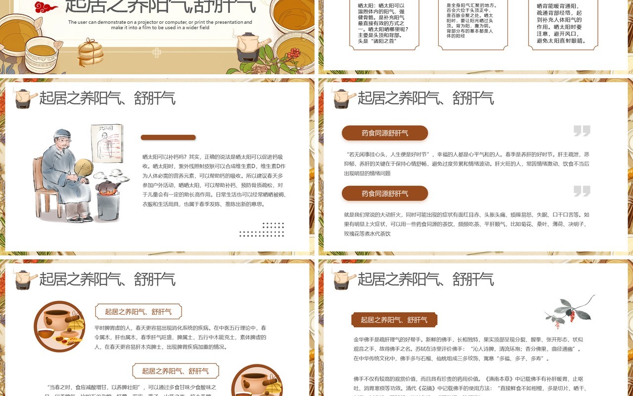 棕色中国风春季中医养生知识PPT模板