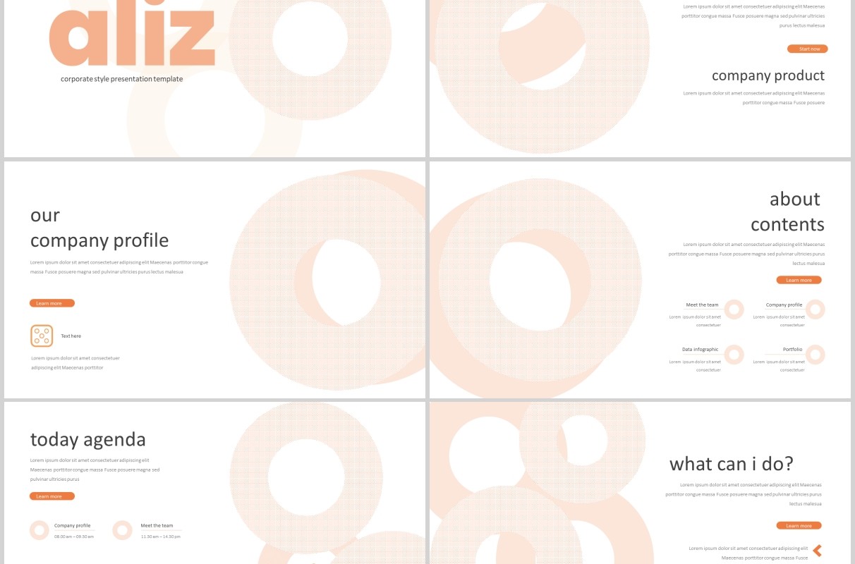 工作计划总结汇报PPT模板版式设计Aliz Powerpoint Template