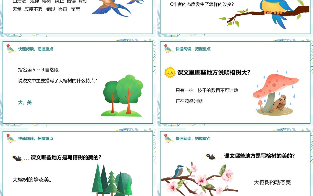 部编版五年级语文上册鸟的天堂课件PPT模板