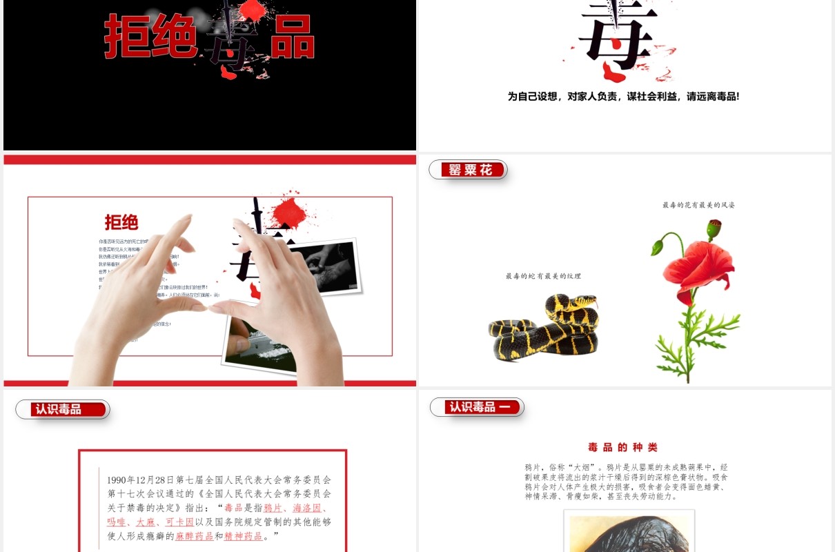 简洁远离毒品珍惜生命禁毒主题教育宣传PPT模板