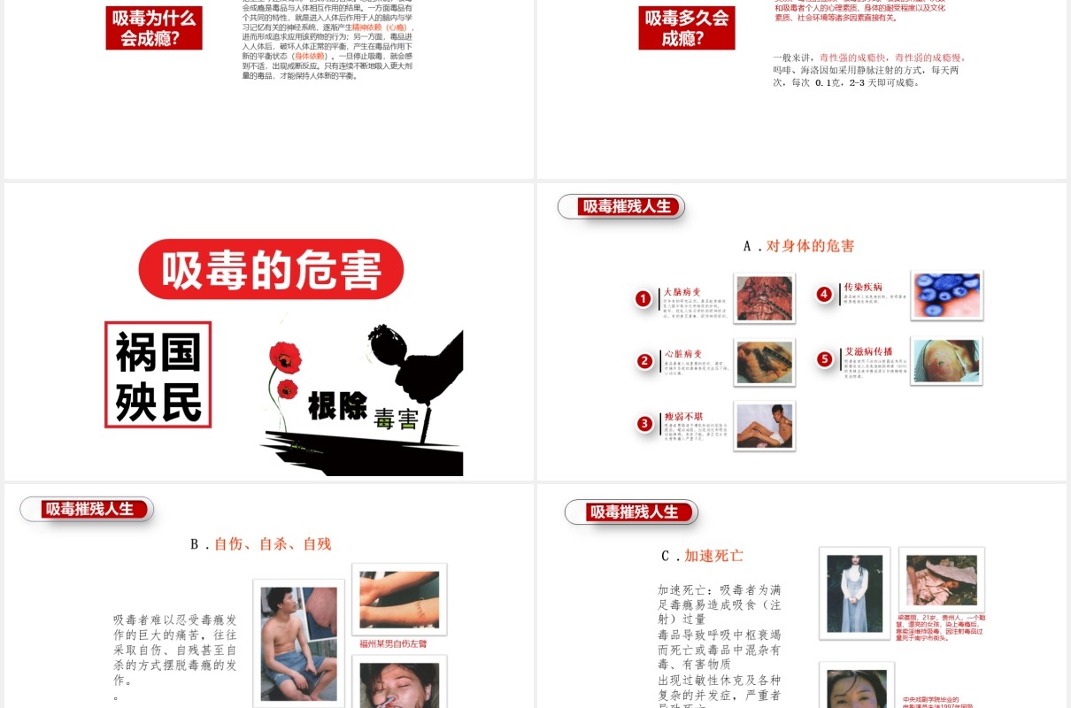 简洁远离毒品珍惜生命禁毒主题教育宣传PPT模板